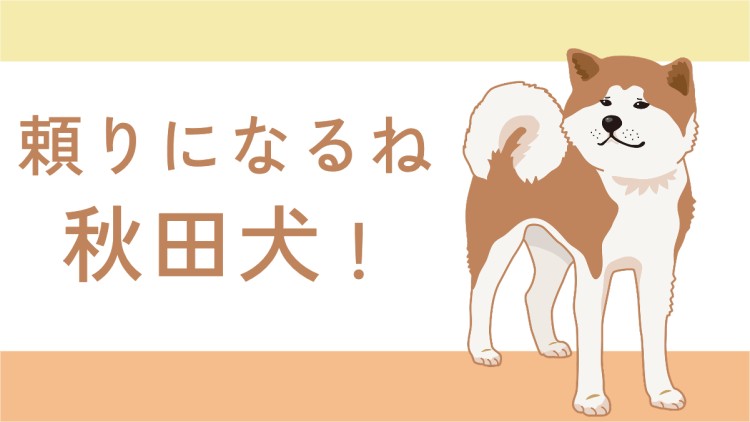 大きなワンコ秋田犬！